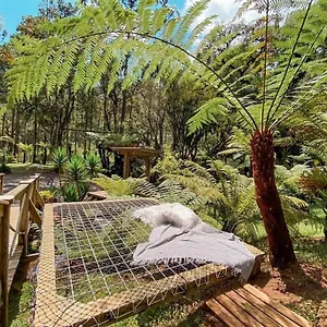 Alojamento de Turismo Selvagem Anjos Da Serra Brasil